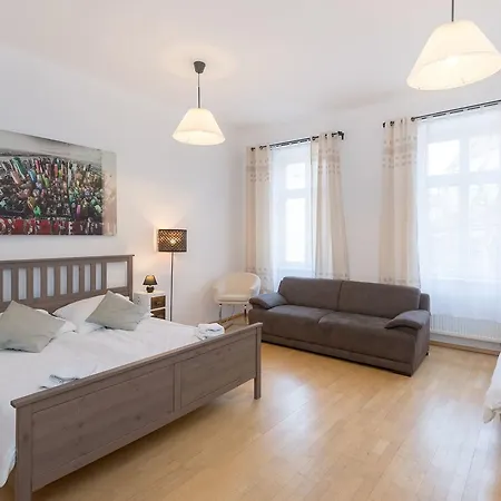 Spacious In The Heart Of Praga